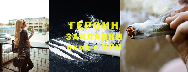 прущие грибы Няндома