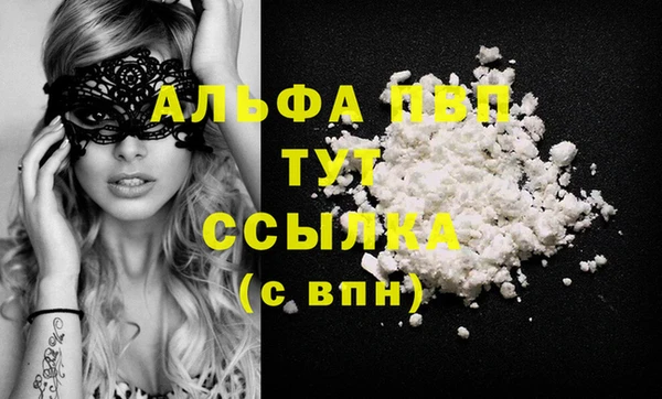СК Новокубанск