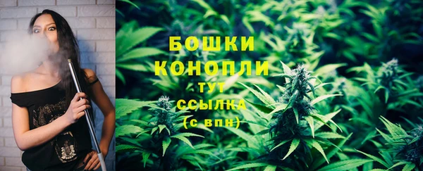 СК Новокубанск
